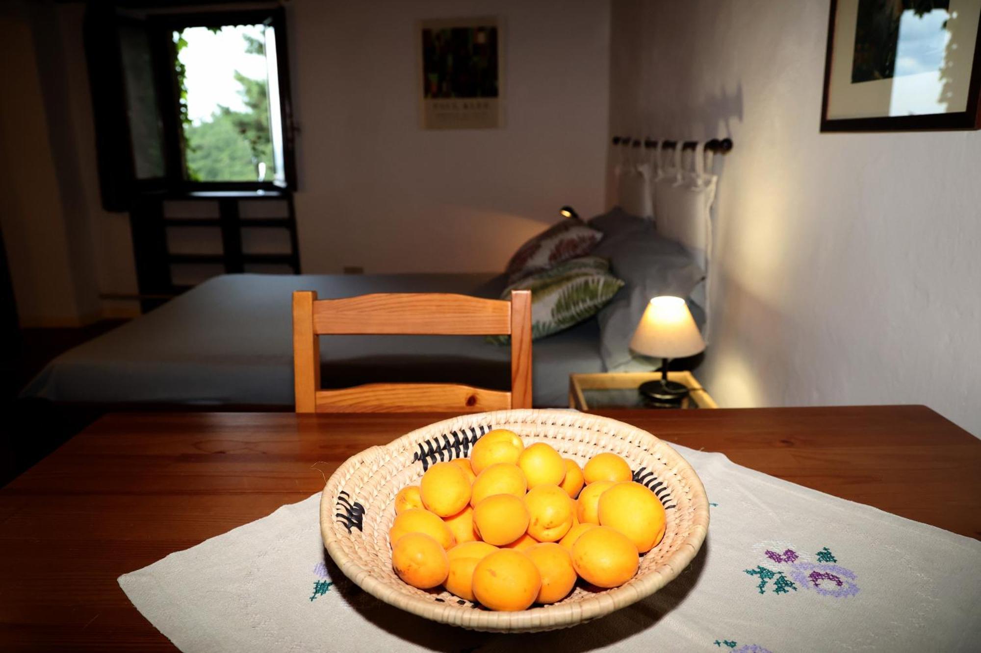 몬테마시 Casa Marju 게스트하우스 외부 사진